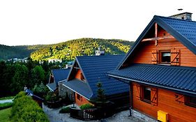 Alpejskie Domy Ski House